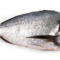 SEA-BREAM