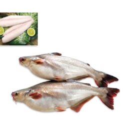 White-Pangasius-Basa