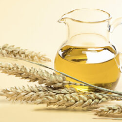 wheat-oil