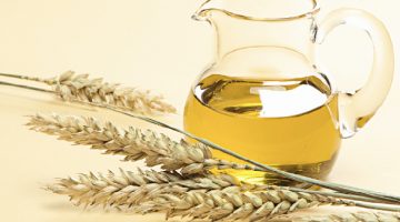 wheat-oil