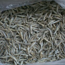 Dried-Anchovy