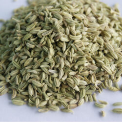 Fennel-Seeds-2