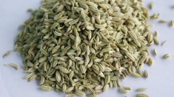 Fennel-Seeds-2