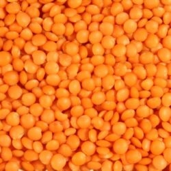 LENTILS