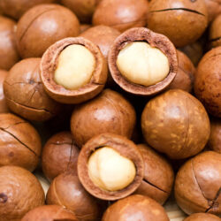 MACADAMIA-NUTS-1