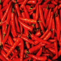 RED-CHILLI-3