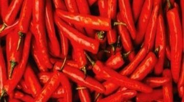 RED-CHILLI-3