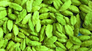 cardamom