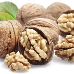 walnut